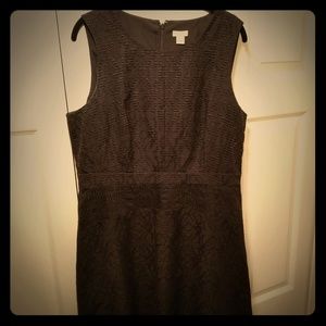 J Crew Fit and Flare Dress 14